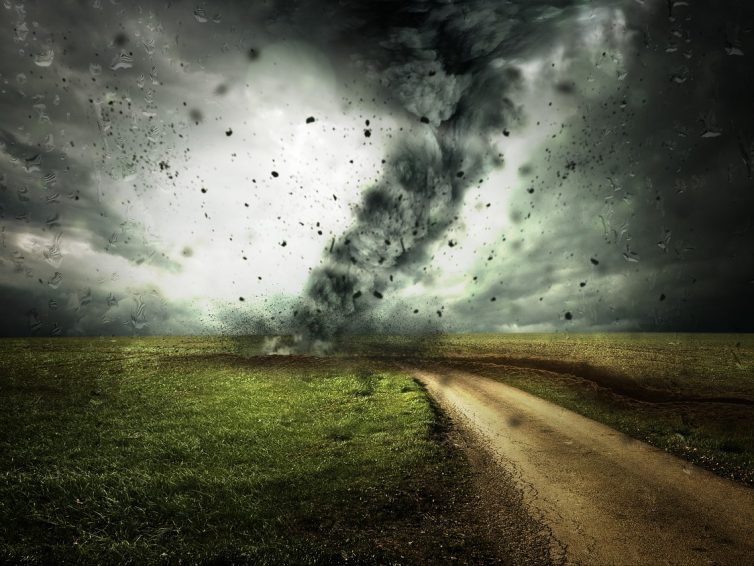 Maak je tuin tornado-bestendig: strategische plant- en boomgroei in 2026