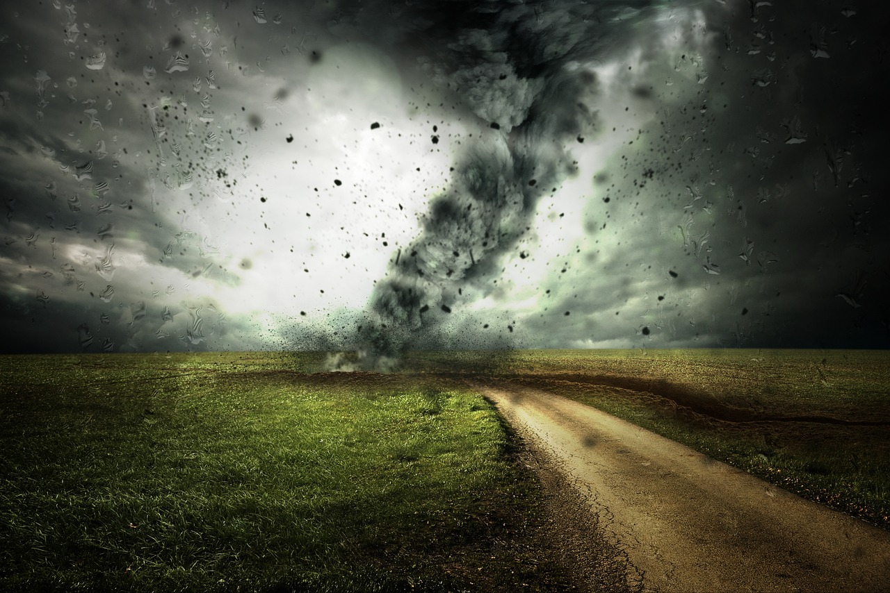 Strategisch geplante bomen beschermen tegen harde wind. Strategisch geplante bomen beschermen tegen harde wind.