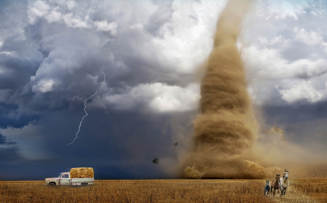 Groene tuinontwerpen bieden tornado-bescherming in 2026. Groene tuinontwerpen bieden tornado-bescherming in 2026.